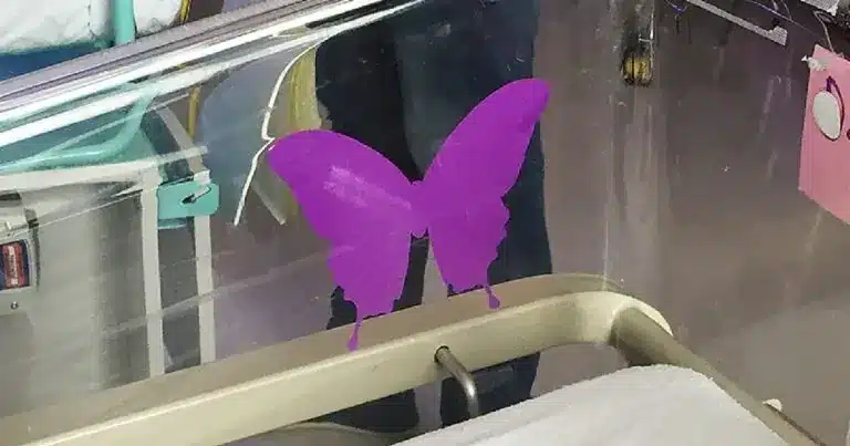 fioletowy motyl przy lozku nowor