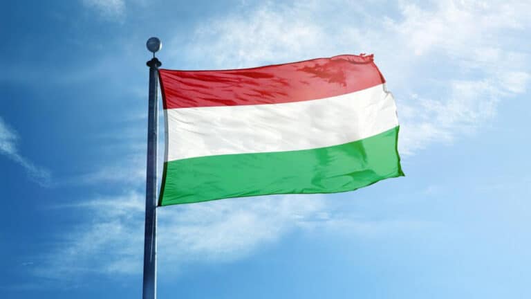 Sosem gondoltad volna, hogy milyen színű volt a magyar zászló 400 éve!