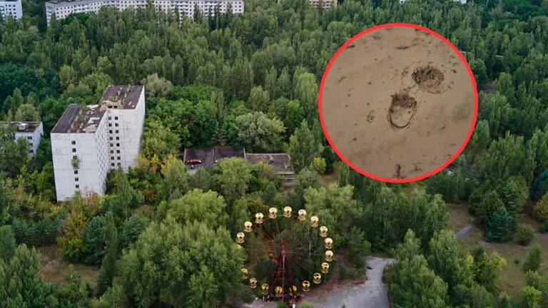 Csernobil környékén bukkant fel! Döbbenetes fotók a nyomokról!
