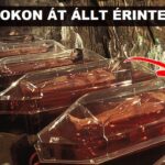 Vatikán borítókép