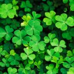 Nem a csillagjegyek, hanem mi magunk állunk lehetőség előtt — csak másképp, mint ahogy mondják