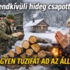 Ingyen tűzifa osztás 2026