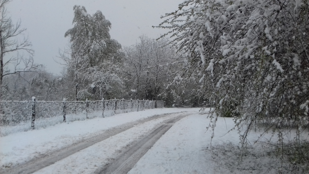 JÖN AZ IGAZI TÉL! HÓVIHAR, FAGYVESZÉLY! 2 kep 2026 01 04 095712285