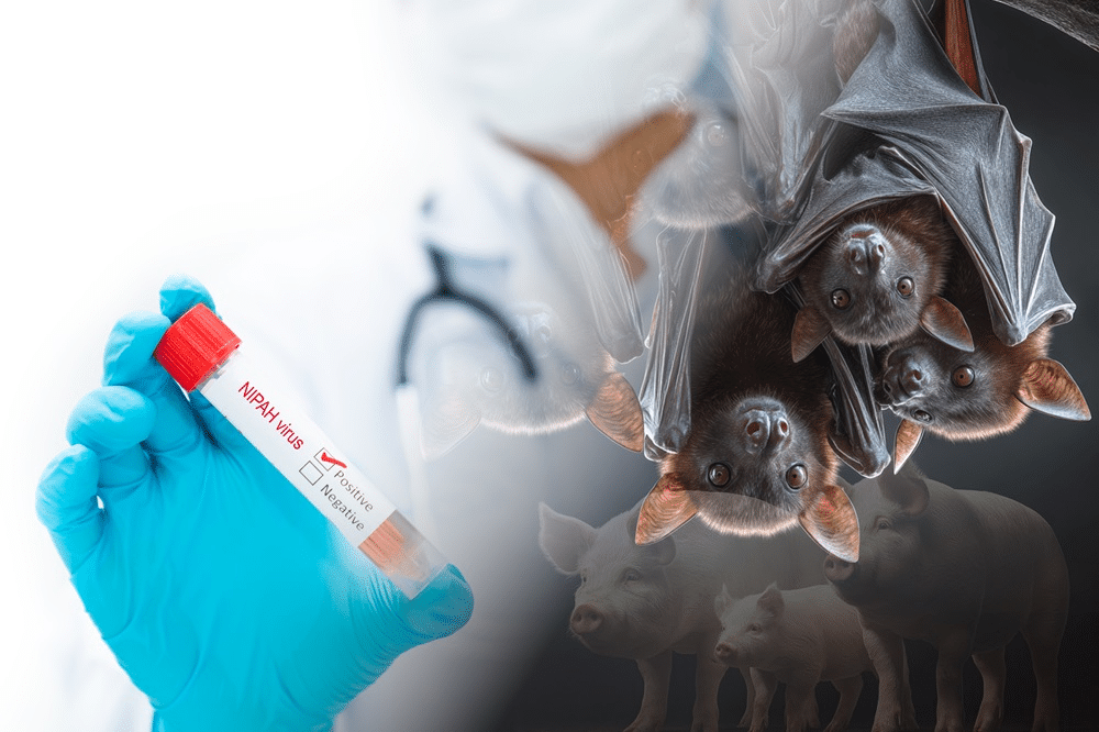 Világszerte pánik! Halálos vírus ütötte fel a fejét Indiában — „Visszatérhet a következő járvány?!”