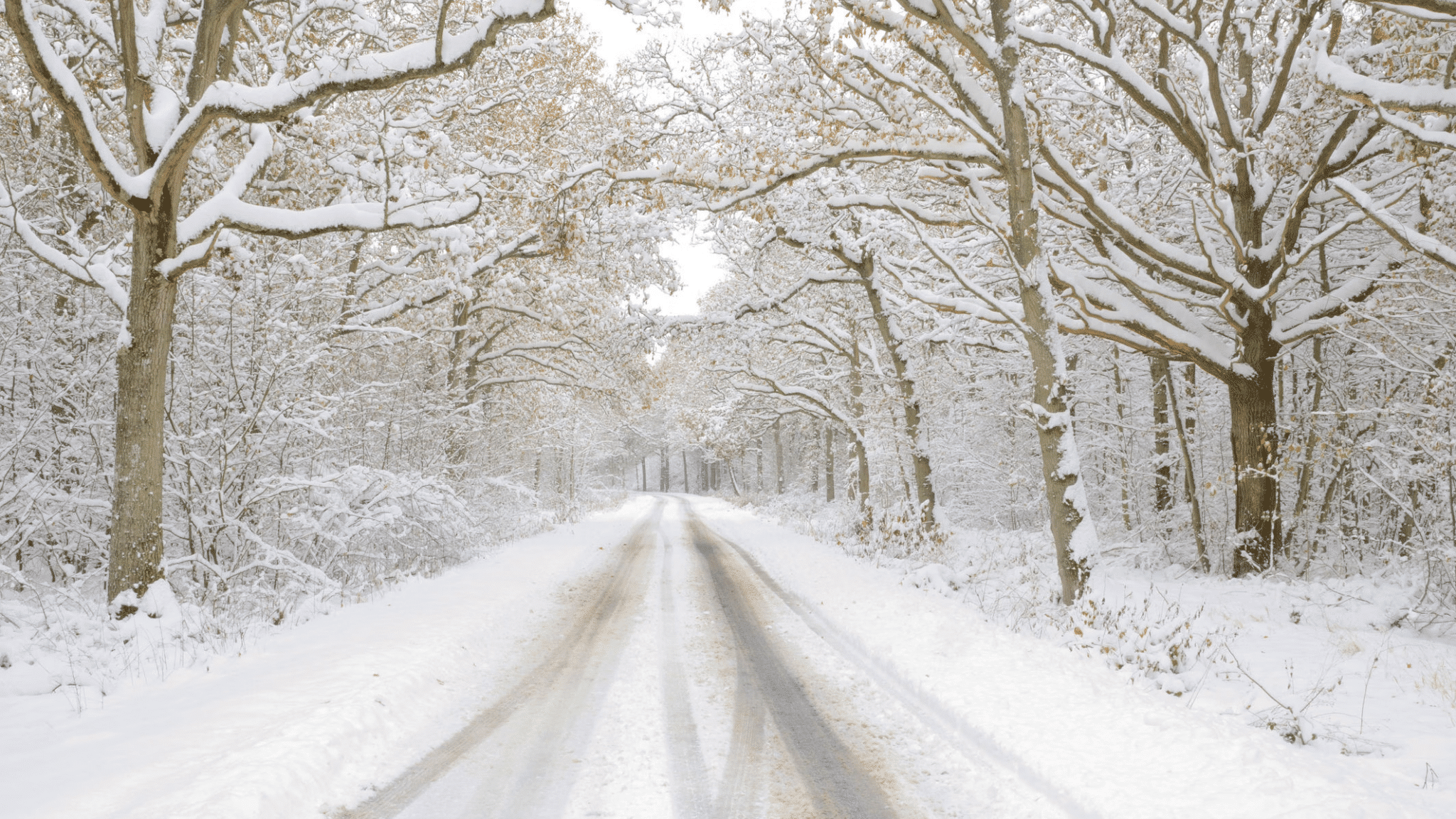 Totális időjárási káosz: a meteorológusok sem értik, mi csap le Magyarországra!